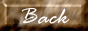 88x31 button: buttonzoo 2back