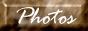 88x31 button: buttonzoo 2s