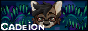 88x31 button: cadeion