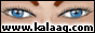 88x31 button: call me zippy bann 03kalaag