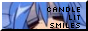 88x31 button: candlelitsmiles 2