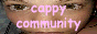 88x31 button: cappyy