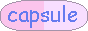 88x31 button: capsule