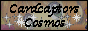 88x31 button: cardcaptorsrule SakButton16
