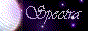 88x31 button: cassiebrite2 spectra
