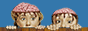 88x31 button: chainsawed