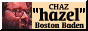 88x31 button: chaz8831