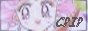 88x31 button: chibikittyusa blue