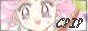 88x31 button: chibikittyusa white
