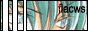 88x31 button: chinchilladragoon x4