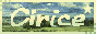 88x31 button: cirice