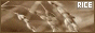 88x31 button: club rice fl