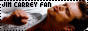 88x31 button: collagepage fanlistingjimcarey