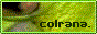 88x31 button: colrana