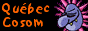 88x31 button: cosomquebec button