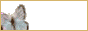88x31 button: courtyard ittybtn