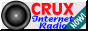 88x31 button: cruxnow