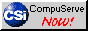 88x31 button: csi now