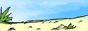 88x31 button: csnz link