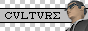 88x31 button: cv