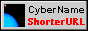 88x31 button: cybername