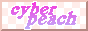 88x31 button: cyberpeach