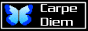 88x31 button: damarisar fondsep carpe diem3