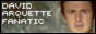 88x31 button: david1 arquette david88x31