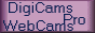 88x31 button: dcprobut