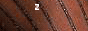 88x31 button: de geocities com zaridoo z4