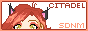 88x31 button: dollcitadel Link2