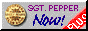 88x31 button: downpepp
