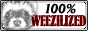 88x31 button: dragonferret buttonweezil
