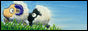 88x31 button: droguenoodle reeniebutt