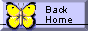 88x31 button: dwnnaylor Back home btrfly