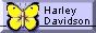 88x31 button: dwnnaylor Harley btrfly