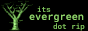 evergreen
