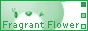 88x31 button: evikun ffbutton3