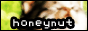 88x31 button: evikun linkmew