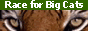 88x31 button: evikun tigerrace