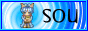 88x31 button: expertise soubutton