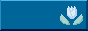 88x31 button: eznfreeus iconhk logo o02