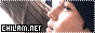 88x31 button: f4evolution chilamdotnetlogo11