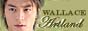 88x31 button: f4evolution wallace1