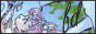 88x31 button: featherdreams fdbutton3
