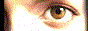 ff banner