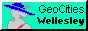 gc wellesley