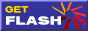 get flashplayer 19981202
