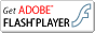 get flashplayer trans 20060820