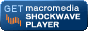 get shockwave 88 31 20021015